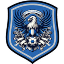 https://img.hnzjxh.com/img/football/team/09bb5b9732bc080d522c37e74ce70004.png