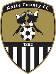 https://img.hnzjxh.com/img/football/team/9e230c89a846b9cadf91884918fa7611.png